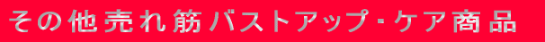 ���̑�����؃o�X�g�A�b�v�E�P�A���i